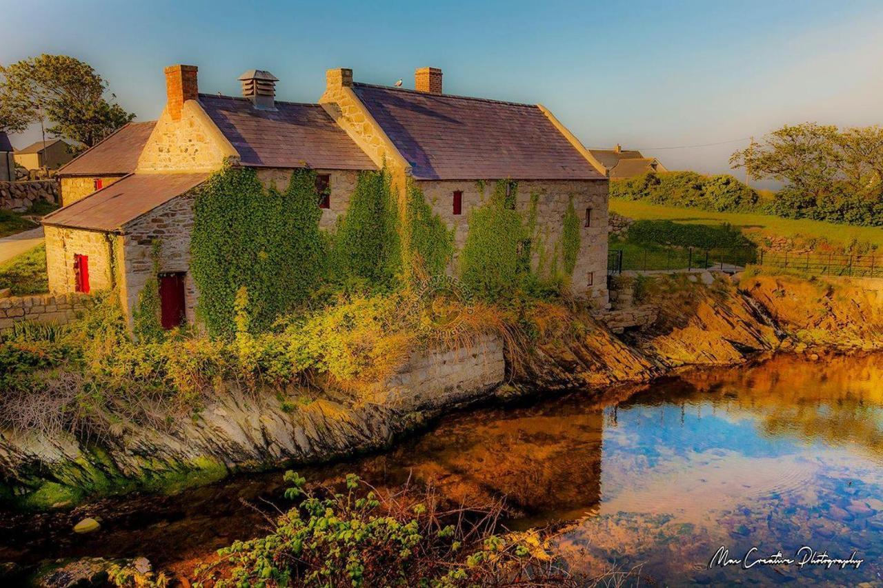 Lovely 2-Bed Cottage At The Foot Of The Mournes Newry Ngoại thất bức ảnh