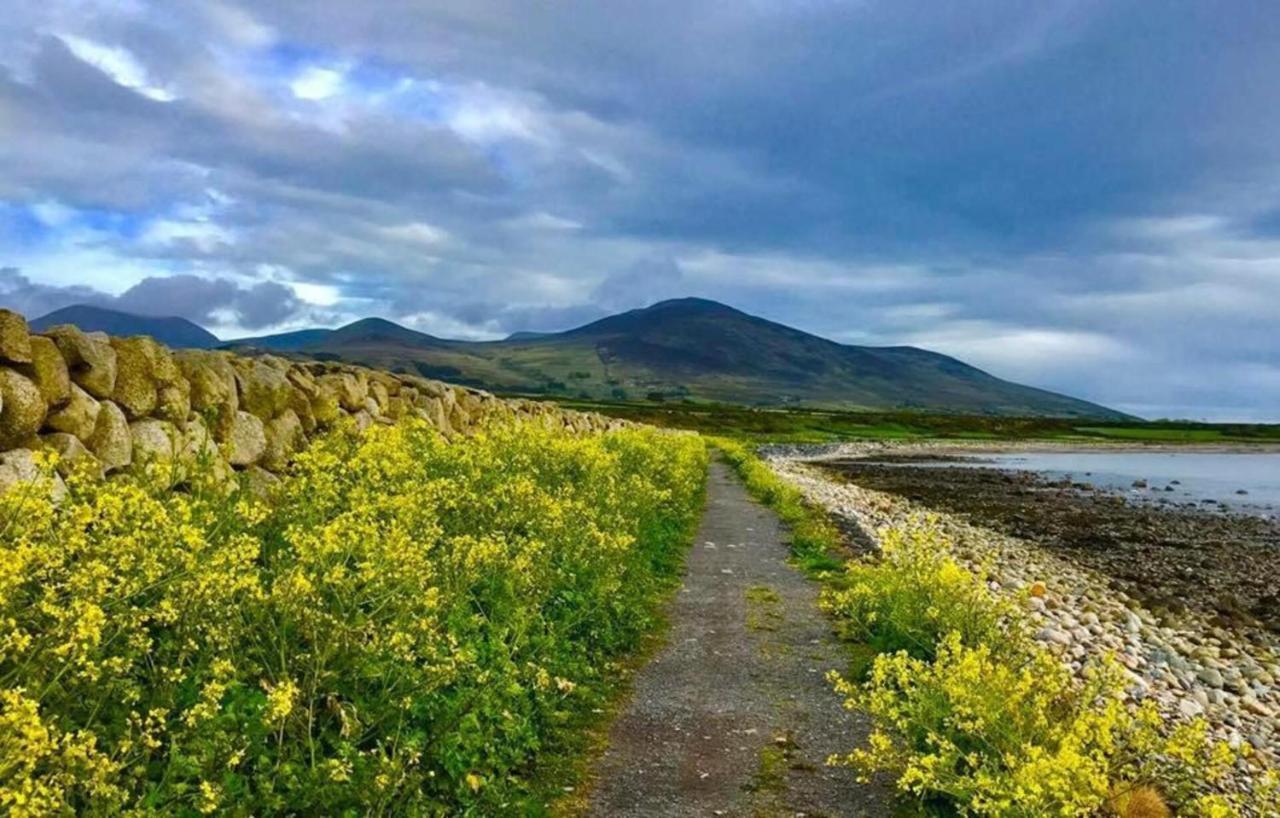 Lovely 2-Bed Cottage At The Foot Of The Mournes Newry Ngoại thất bức ảnh